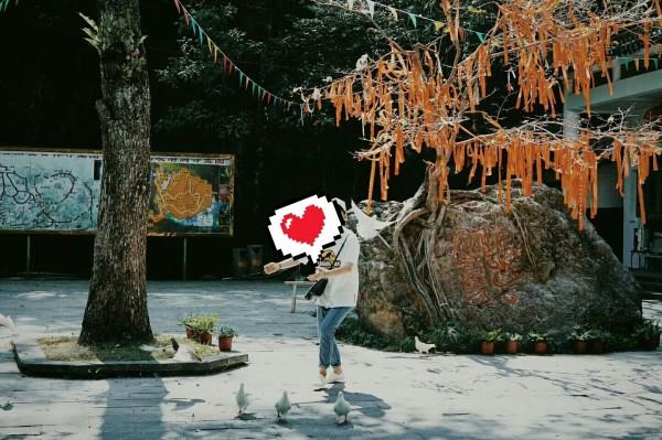 汪峰四个前妻被他折腾了一把,还没缓过神,他的新欢就来了,佩服!