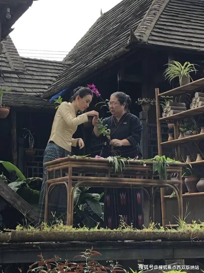 大人万万不可