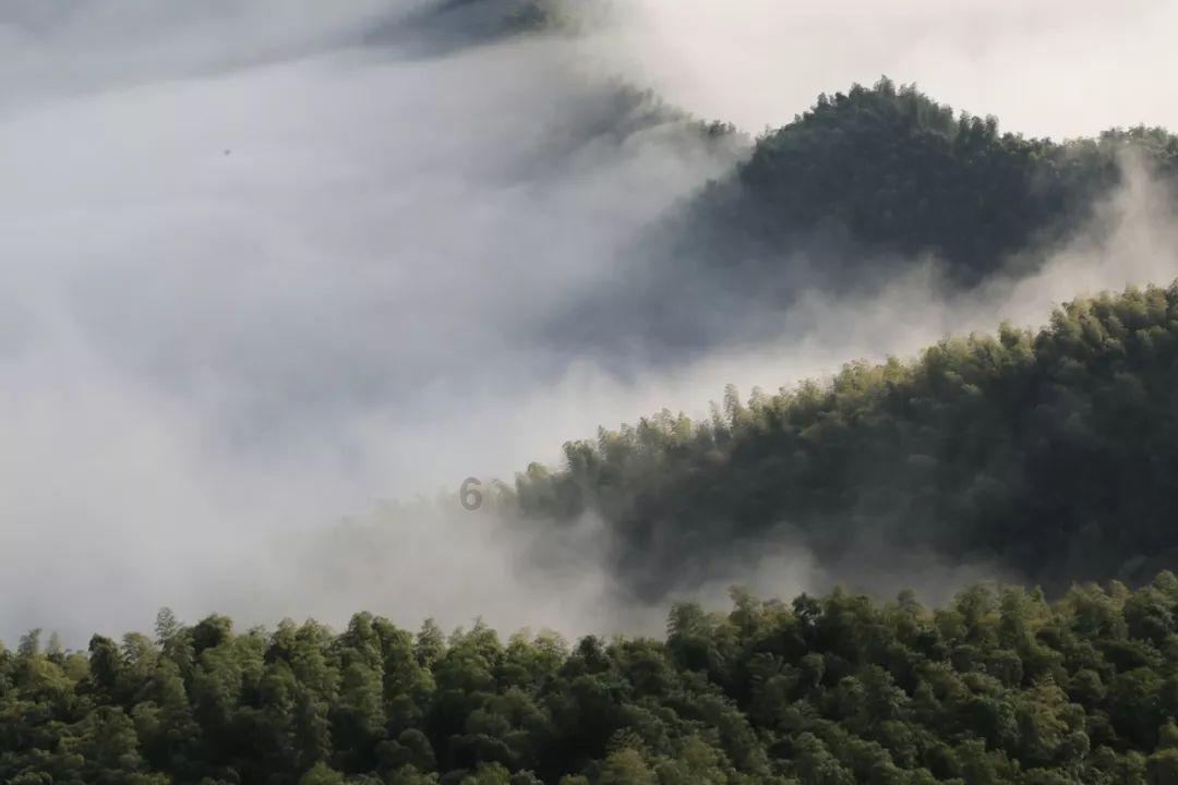 血战西部