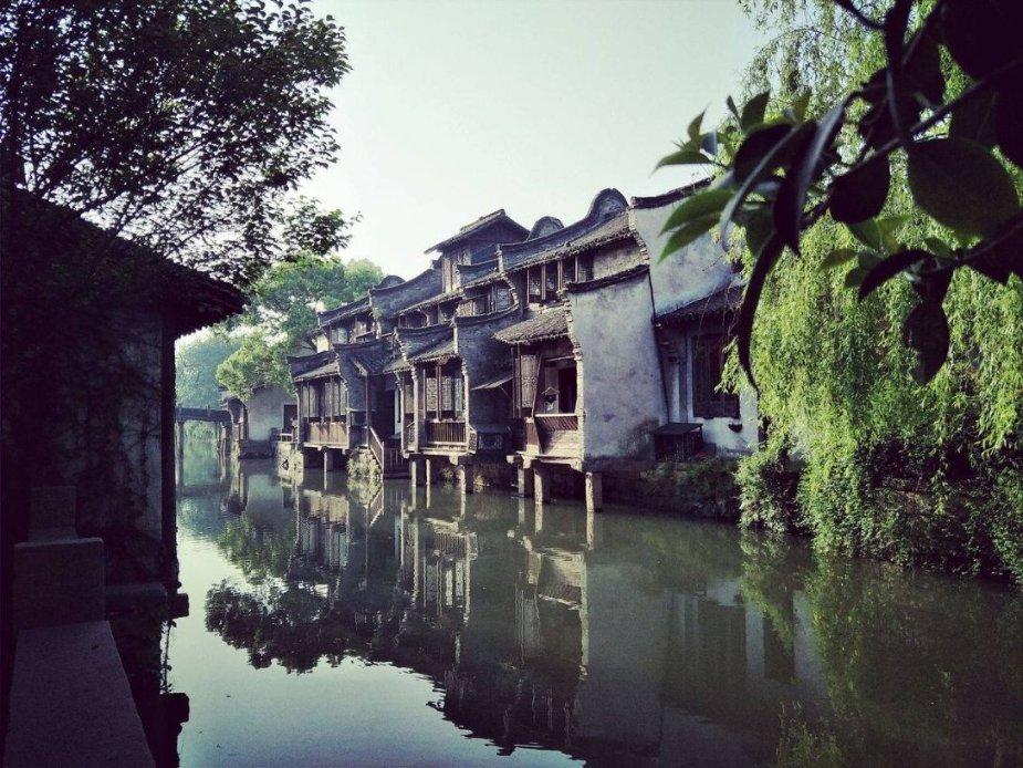 奥日与黑暗森林